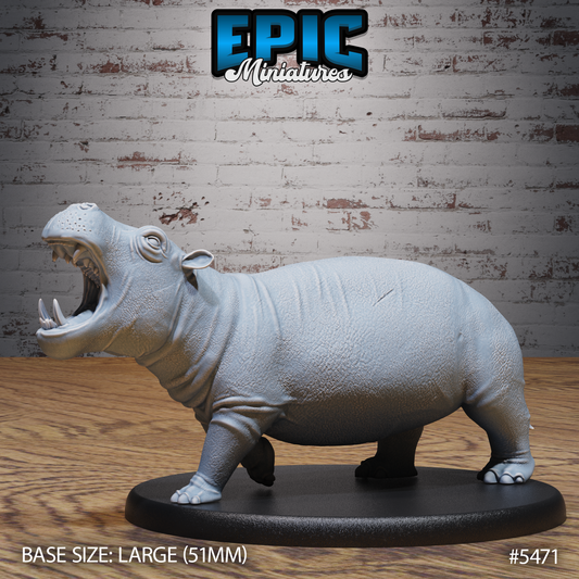 Hippopotamus 2