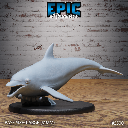 Dolphin 1