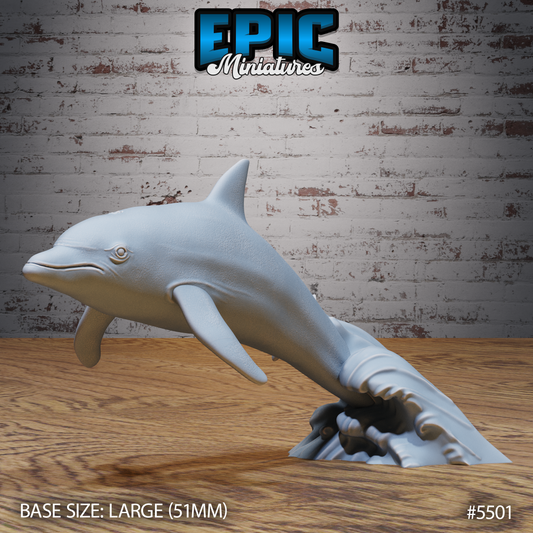 Dolphin 2