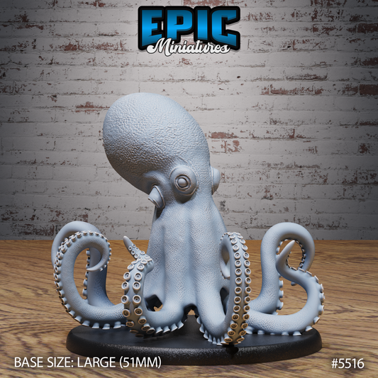 Giant Octopus 1