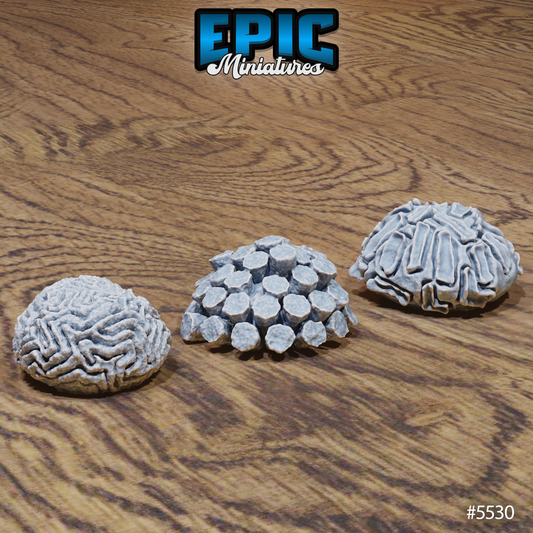 Ocean Plants 1 Pack
