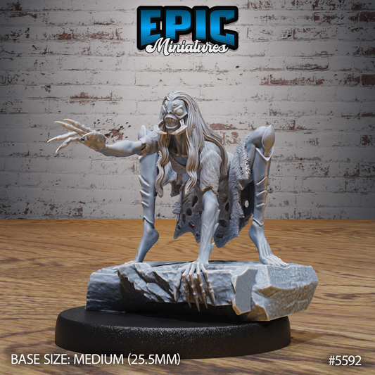 Spider Hag 2