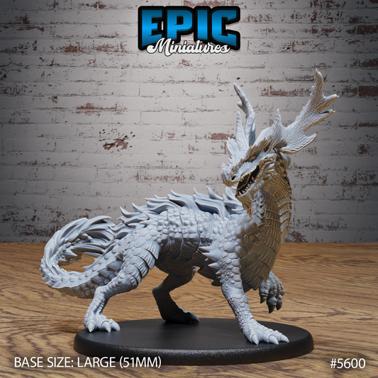 Forest Drake 1