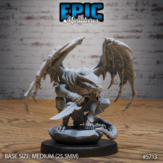 Half-Dragon Rogue 1