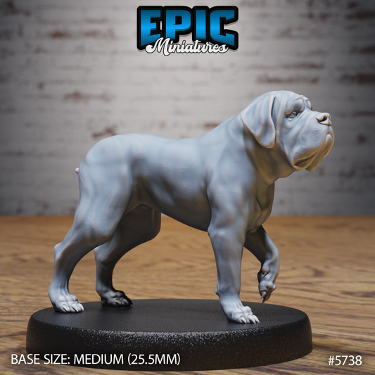 Mastiff